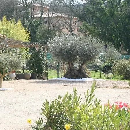 Les Glycines *